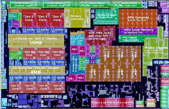 AMD 推出新款 4 纳米 “Strix Point” 移動處理器，性能大幅提升