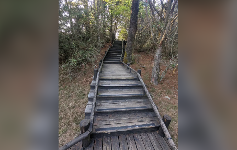 雪霸國家公園雲霧步道整修工程全線封閉