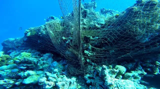 菲律賓反指中國破壞南海珊瑚礁 外交部嚴正駁斥